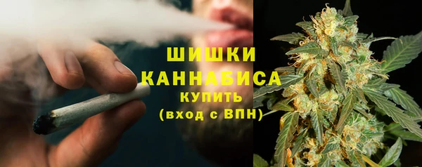 PSILOCYBIN Балахна