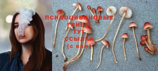 PSILOCYBIN Балахна