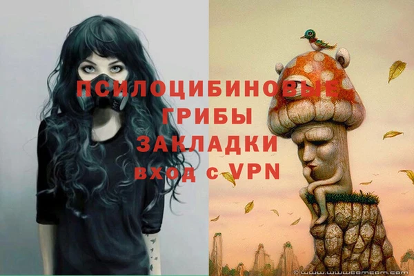PSILOCYBIN Балахна