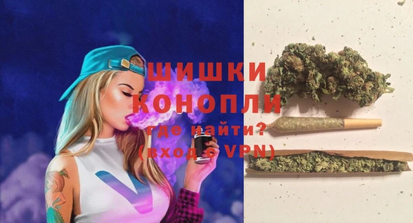PSILOCYBIN Балахна