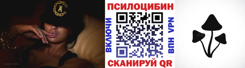 Галлюциногенные грибы Psilocybe  Сосногорск 